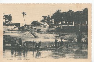 Egypt Postcard - Landscape Near Cairo   X378
