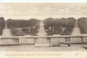 Middlesex Postcard - The Three Grand Avenues - Hampton Court Palace  Ref TZ10745