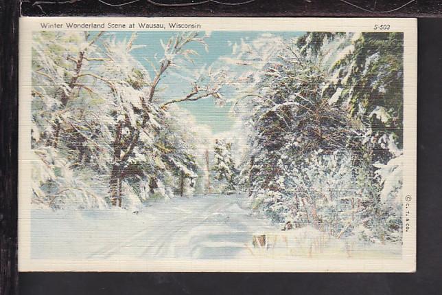 Winter Wonderland Scene at Wausau,WI Postcard 