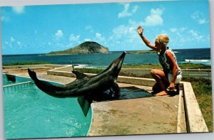 Postcard Hawaii Sea Life Park Woman Training Porpoise