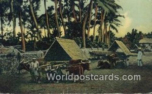 Ox Carts Philippine Islands Philippines Unused 