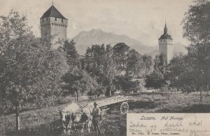 Luzern auf Musegg Farm Transport Antique Switzerland Postcard