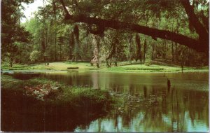 Postcard SC Sumter County - Dundell Gardens