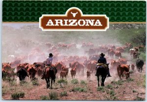 Postcard - Arizona Roundup - Arizona