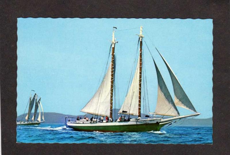 ME Windjammer Ships Schooners Mattie Mercantile Camden Maine Postcard