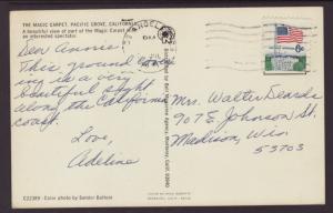 The Magic Carpet,Flowers,Pacific Grove,CA BIN