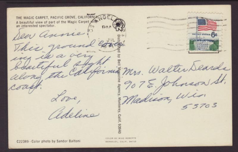 The Magic Carpet,Flowers,Pacific Grove,CA BIN