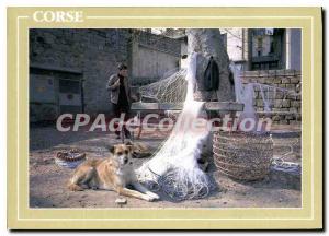 Postcard Charm And Colors Corsica dog nets