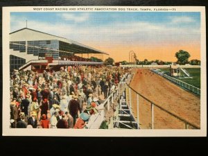 Vintage Postcard 1930-1945 West Coast Racing Assoc. Dog Track Tampa Florida