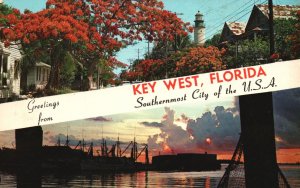 1967 Royal Poinciana Trees & Shrimp Boats Key West Florida FL Greetings Postcard