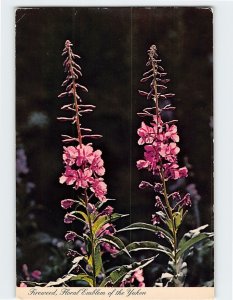 Postcard Fireweed, Floral Emblem of the Yukon, Canada