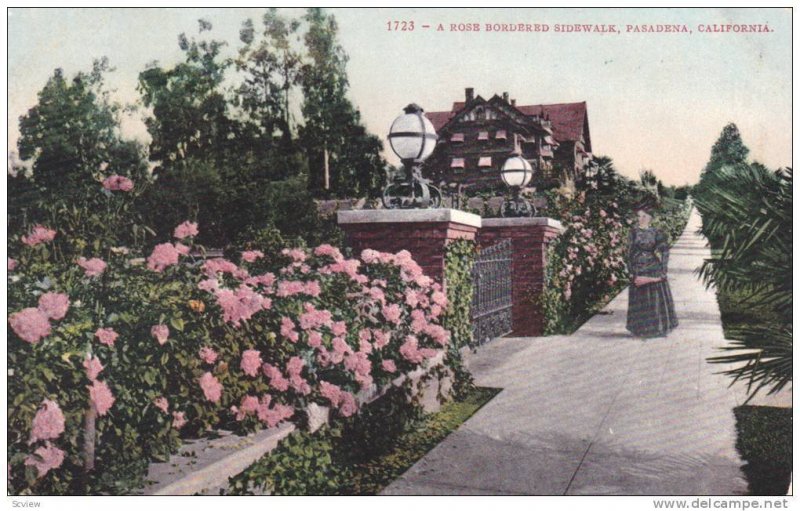 A Rose Bordered Sidewalk, Pasadena, California, 1900-1910s