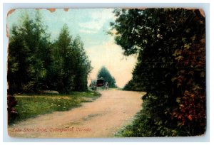 c1910 Horse Carriage Passing Lake Shore Drive, Collingwood Canada Postcard