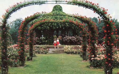 CT - Hartford, Elizabeth Park Rose Garden