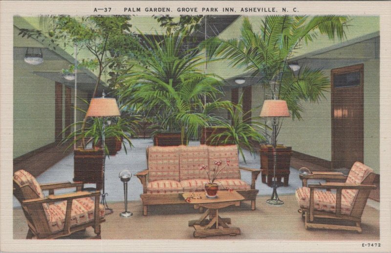 Postcard Palm Garden Grove Park Inn Asheville NC North Carolina