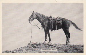 Western Cow Pony D C Mahoney Packanack Lake New Jersey Real Photo