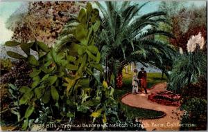 Tropical Gardens at Cawston Ostrich Farm California Vintage Postcard O16