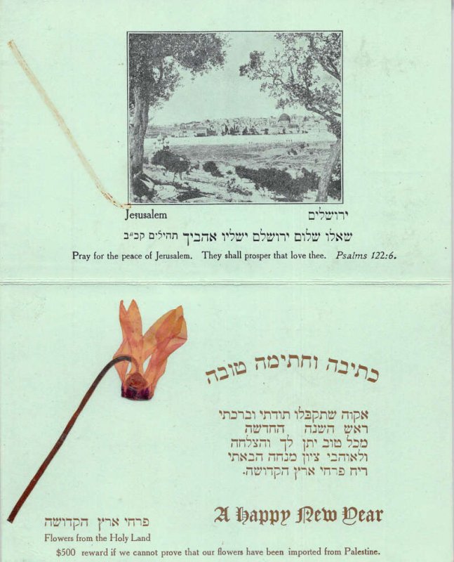 New Year Greetings Jerusalem Palestine Pressed Flower Fold Out Postcard AA34872