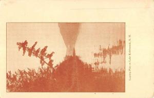 Lake Kolelemook New Hampshire Leaning Pine Waterfront Antique Postcard K84333