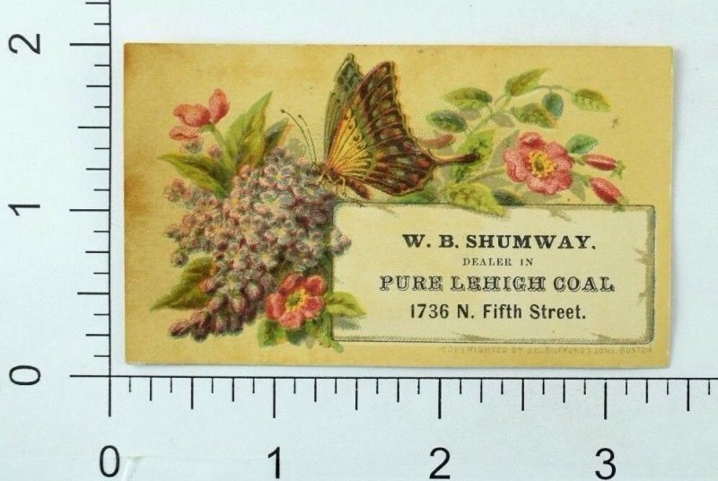 W. B Shumway Dealer In Pure Lehigh Coal Butterfly Wysteria P72