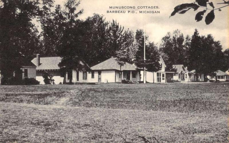 Barbeau Michigan Munuscong Cottages Street View Antique Postcard K85406
