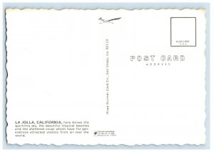 Vintage Beautiful La Jolla, California. Postcard &B