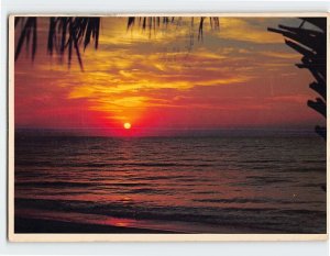 Postcard Beautiful Sunrise Greetings from Myrtle Beach South Carolina USA