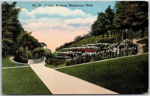 Valley Avenue Macatawa Michigan MI Flower Landscapes Roadways Ground Postcard