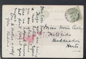 Genealogy Postcard - Pedley - Hillside, Hoddesdon, Hertfordshire  RF5889