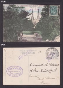 Postcard, CANADA, Ottawa, The Basilicia, from the Park
