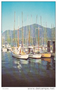 Fishing Boats, Vancouver Island, British Columbia, Canada, 40-60´s