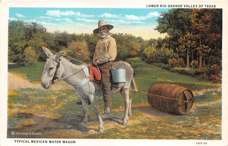 Lower Rio Grande Valley Texas~Mexican Water Wagon~Gardners Studio Postcard
