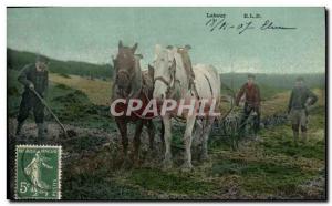 Postcard Old Labor Folklore Horses