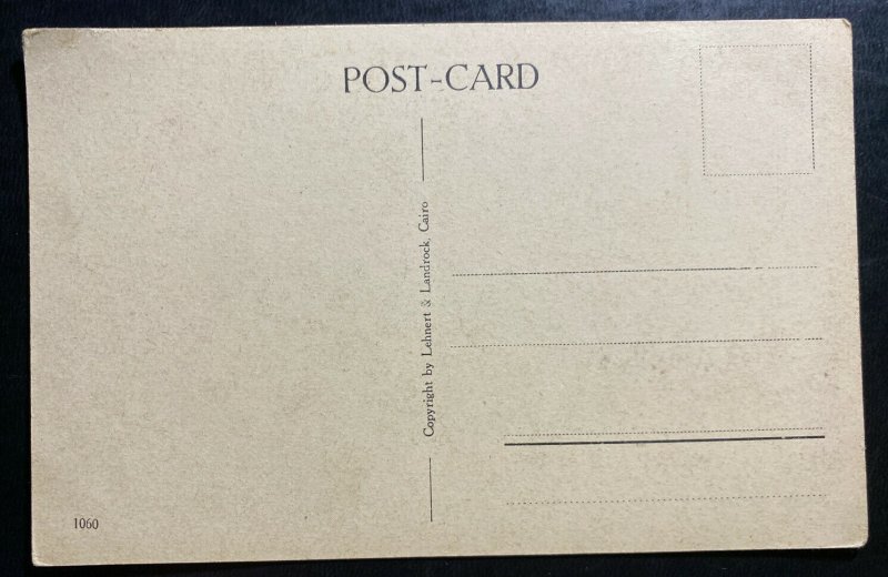 Mint Egypt Picture Postcard PPC Cairo Eventide