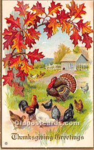 Thanksgiving Greetings 1913 