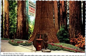 Postcard - World Famous Tree House, Tree House Park - California