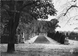 BG2783 versailles allee du parc  CPSM 14x9.5cm france