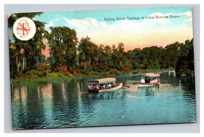 Vintage 1920s Postcard Seeing Silver Springs in Glass Bottom Boats, Florida