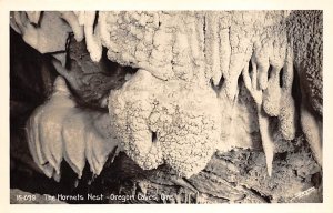 Hornets Nest Oregon Caves, Real Photo - Oregon Caves National Monument, Orego...