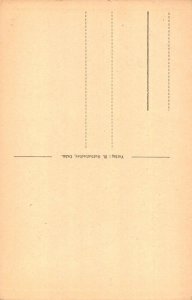 L215 Germany Die Wachtfelsen bei Dahn Cliffs vintage postcard