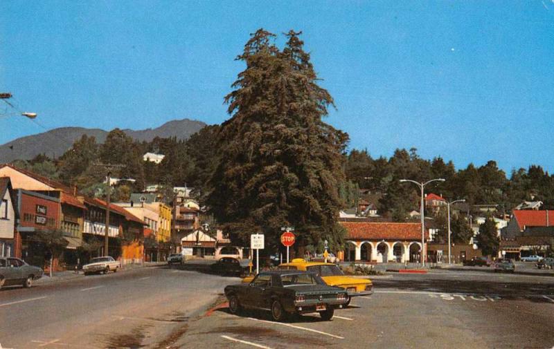 Mill Valley California Miller Avenue Street Scene Vintage Postcard J76092