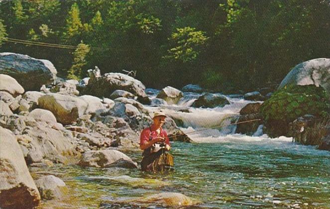 Tennessee Smoky Mountains Fishing For Trout