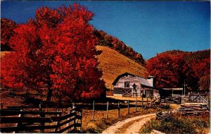 Postcard FARM SCENE State of North Carolina NC AN7237