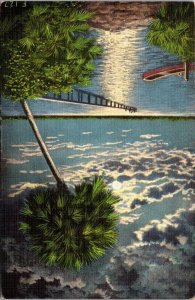 Florida Moonlight On The River