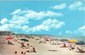 Postcard BEACH SCENE Virginia Beach Virginia VA AI0103