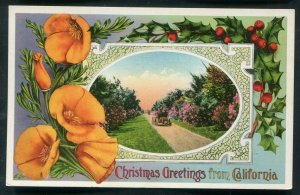 Christmas from California with Poppy Flowers postcard old auto