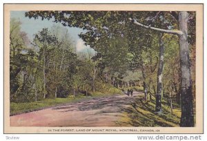 The Forest, Land of Mount Royal, Montreal, Canada, PU-1939