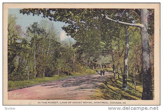 The Forest, Land of Mount Royal, Montreal, Canada, PU-1939