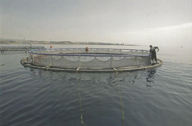 Cyprus developing fish farming by Kimagro postcard