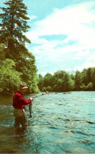 Fishing Scene Fly Fishing Landing A Good One